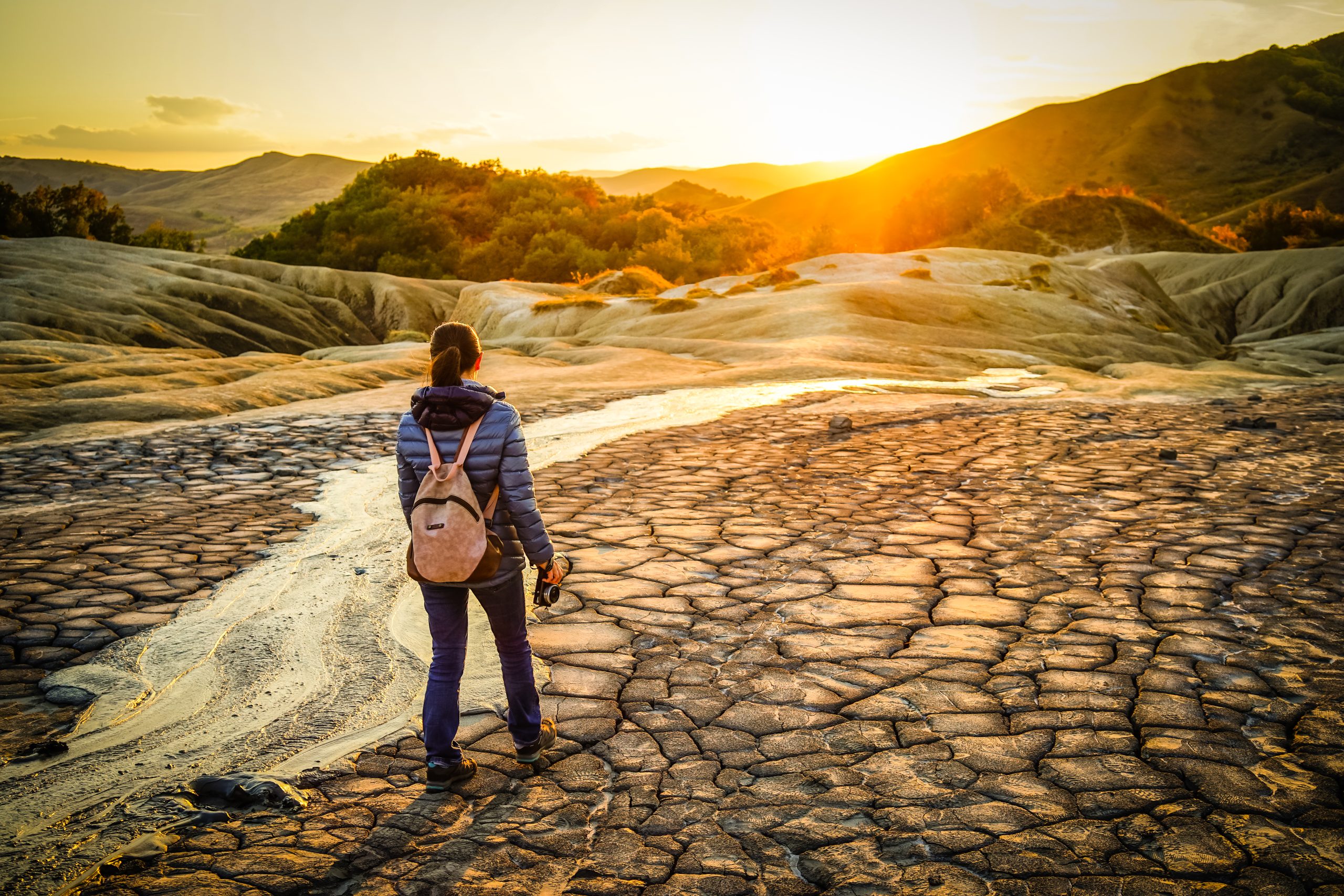 The Role of AI in Building a Sustainable Future: Tackling Climate Challenges with Technology: