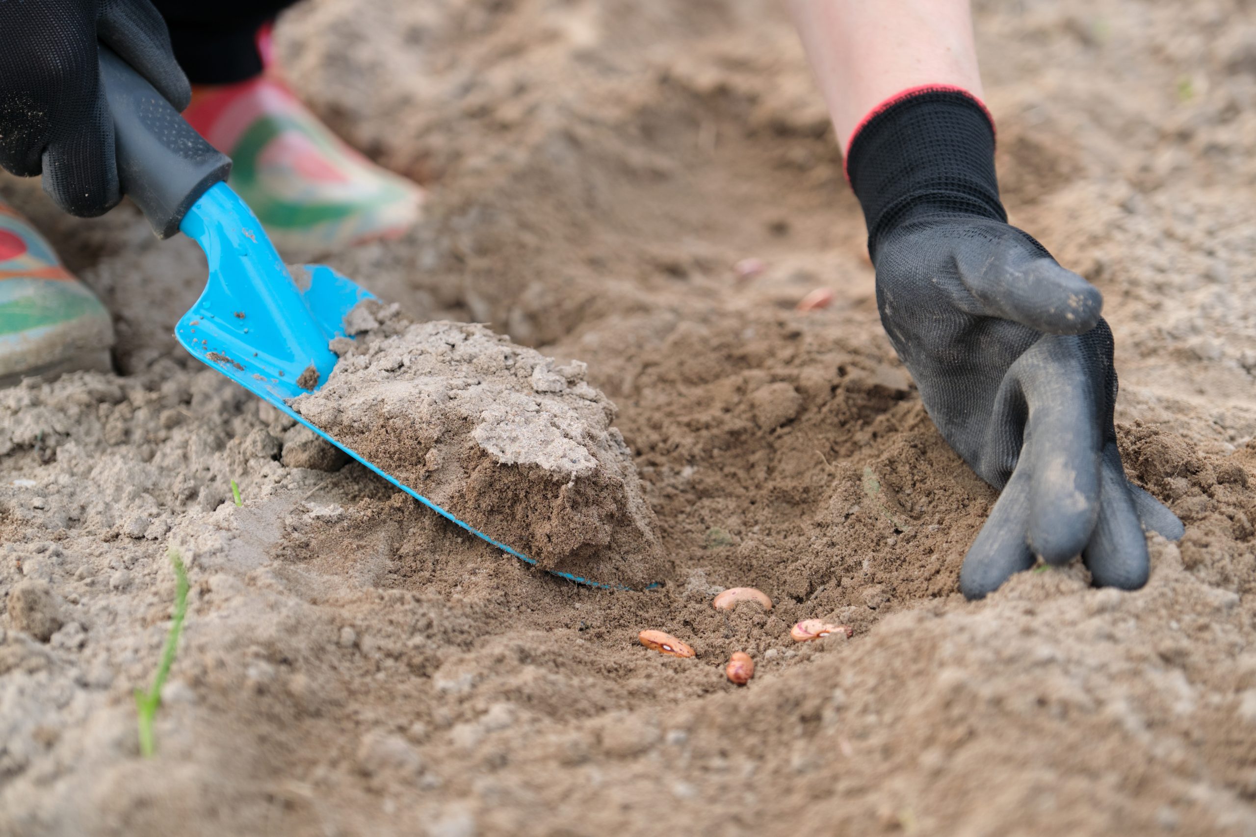 From Impressions to Impact: Trends Shaping the Future of Digital Advertising: